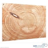 Glastavle Ambience serie wooden log 45x60 cm